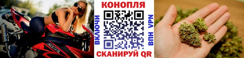 Канабис гибрид  Туринск 